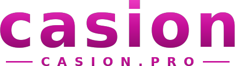 casion logo